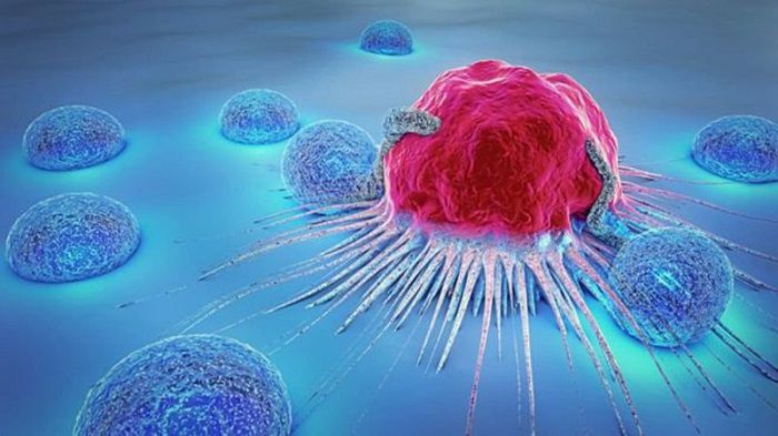 EGCG trong trà xanh có tác dụng ngăn cản hình thành tế bào ung thư