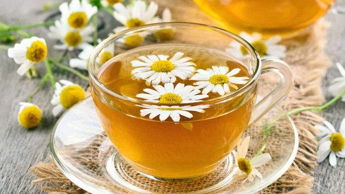 trà hoa cúc cũng rất tốt cho phụ nữ khi mang thai