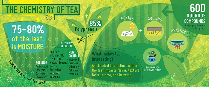 Thành phần hóa học của trà xanh